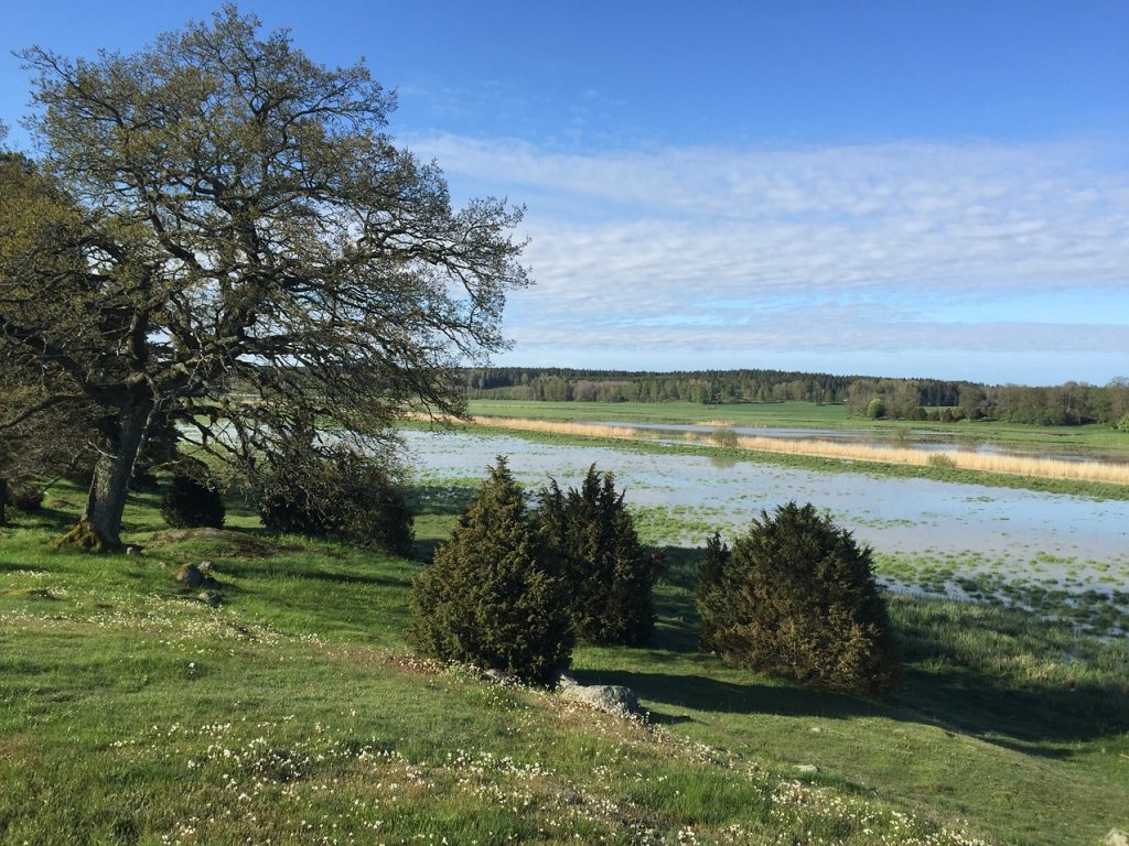 hederviken hederviken