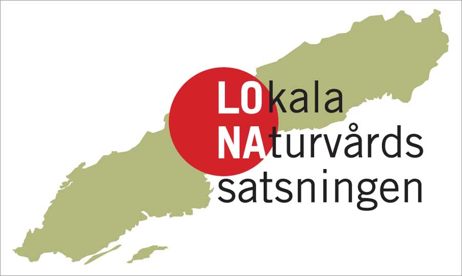lona-logo lona-logo