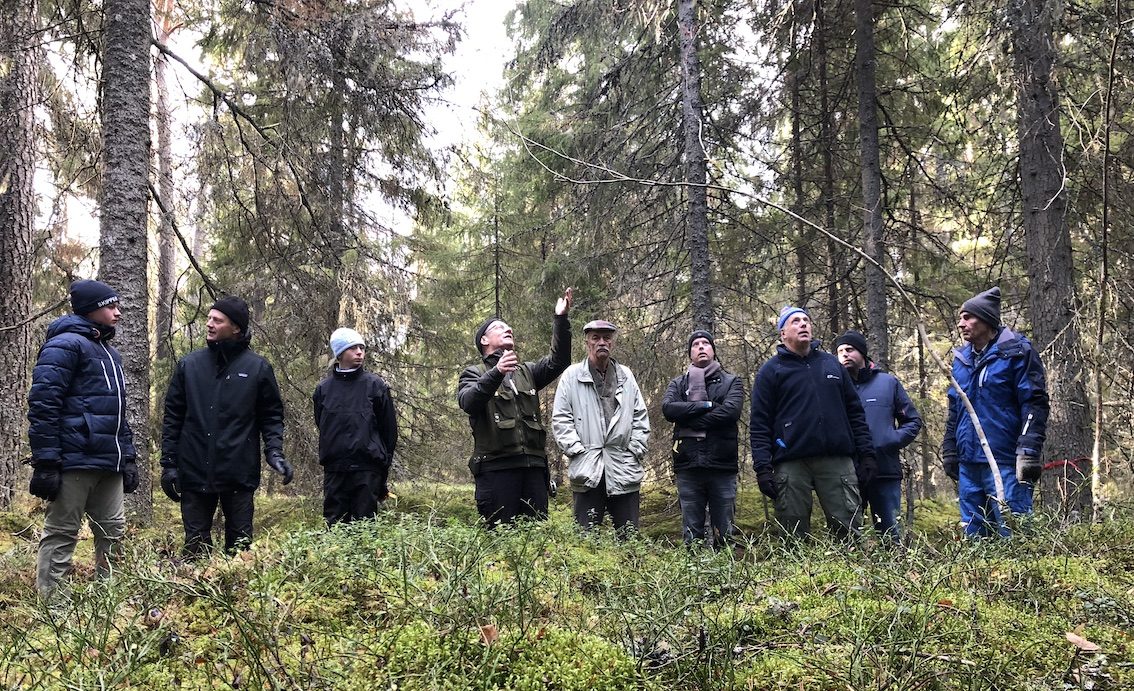 skog4alla skog4alla
